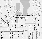 image1.jpg